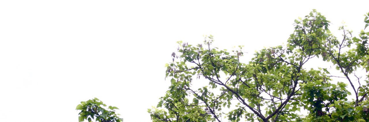 juliosorondo's profile banner image