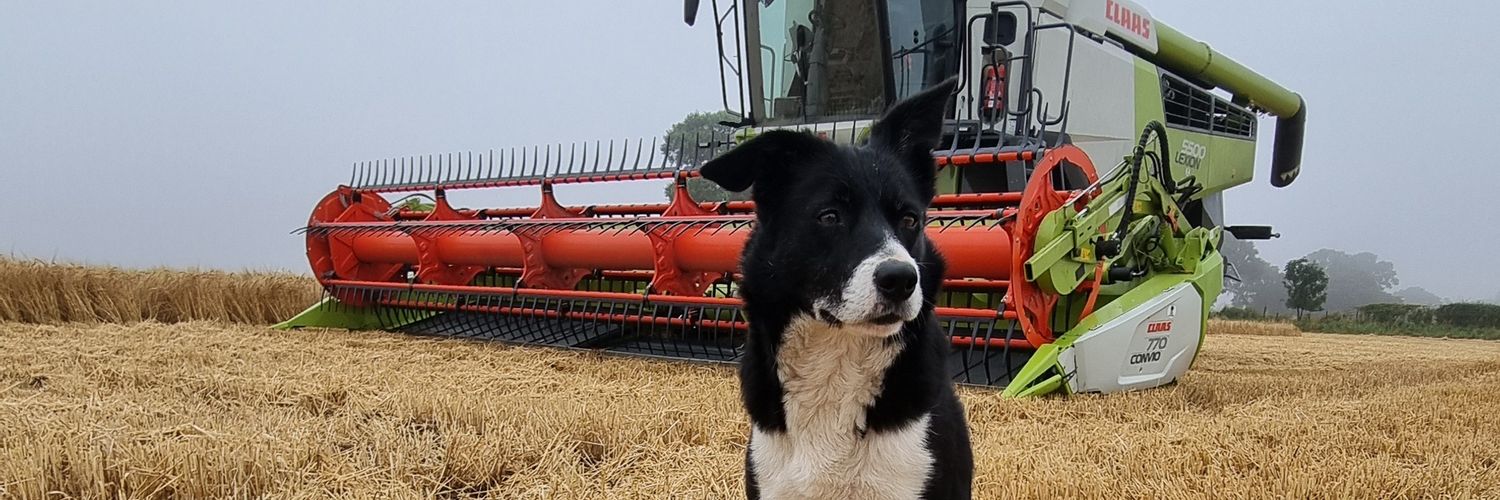 Everything Is Greenknowe banner