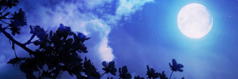 焔ふぁい｜FIREの精霊 banner