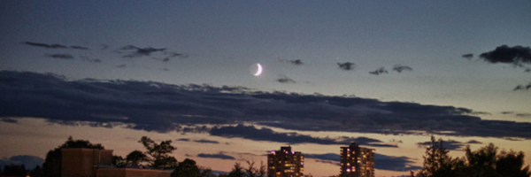 dotsam Profile Banner