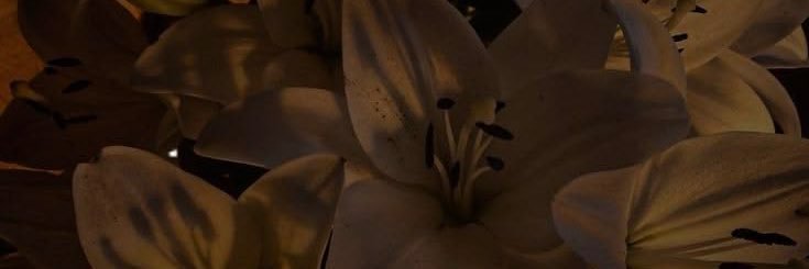 Brulant9's profile banner image