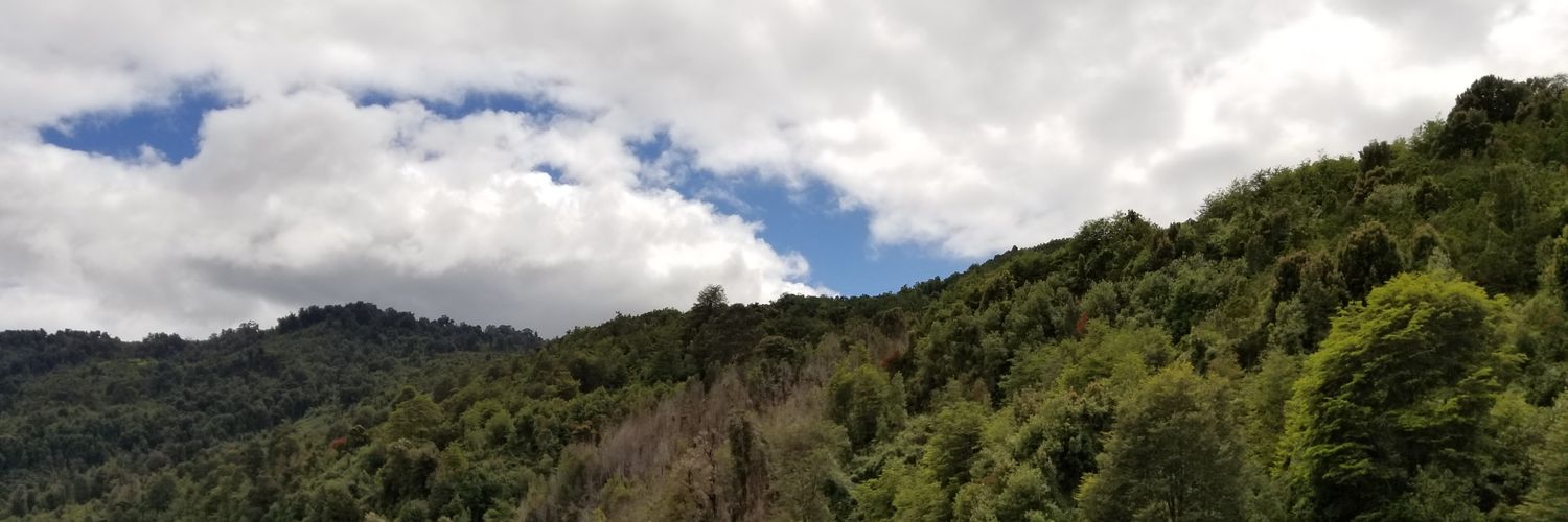 danitobra's profile banner image