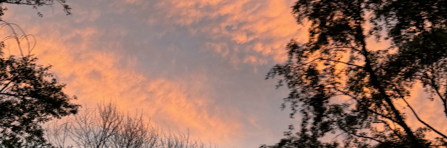 wbberddd's profile banner image
