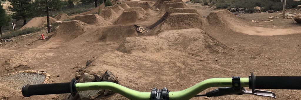 brad lee henry banner