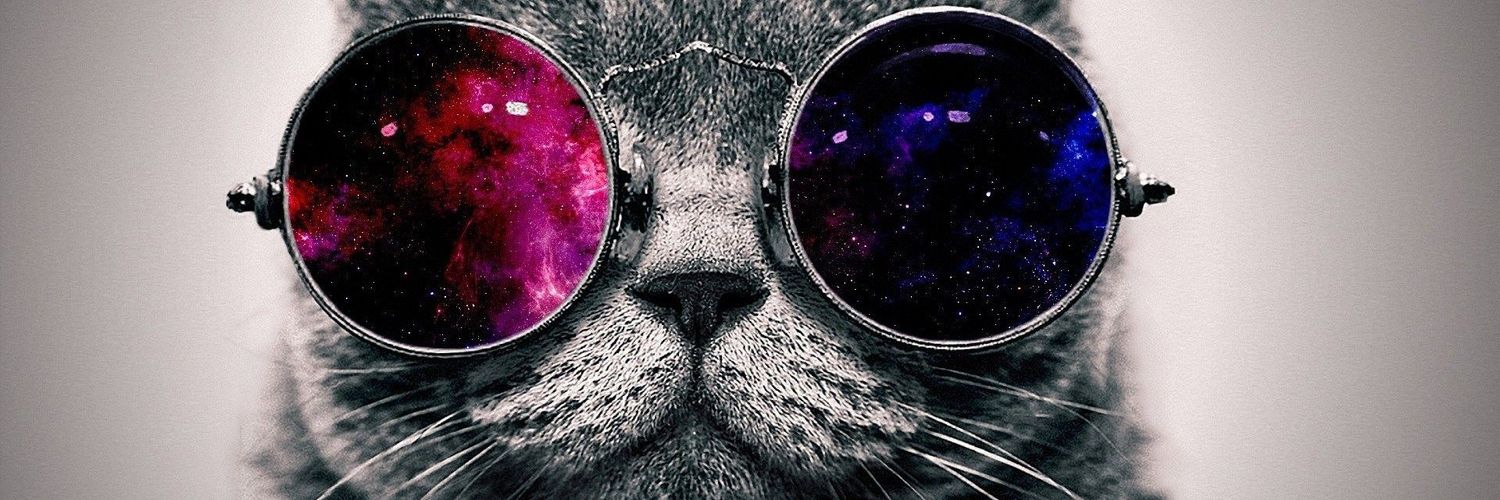 Veljkovic • Vamos💚🤍 banner