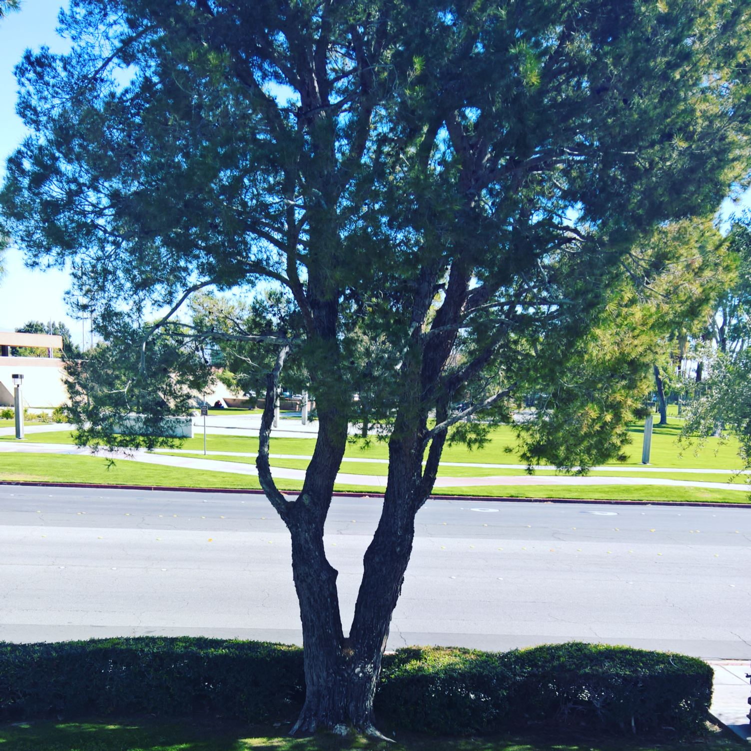 FredMerola1's profile banner image