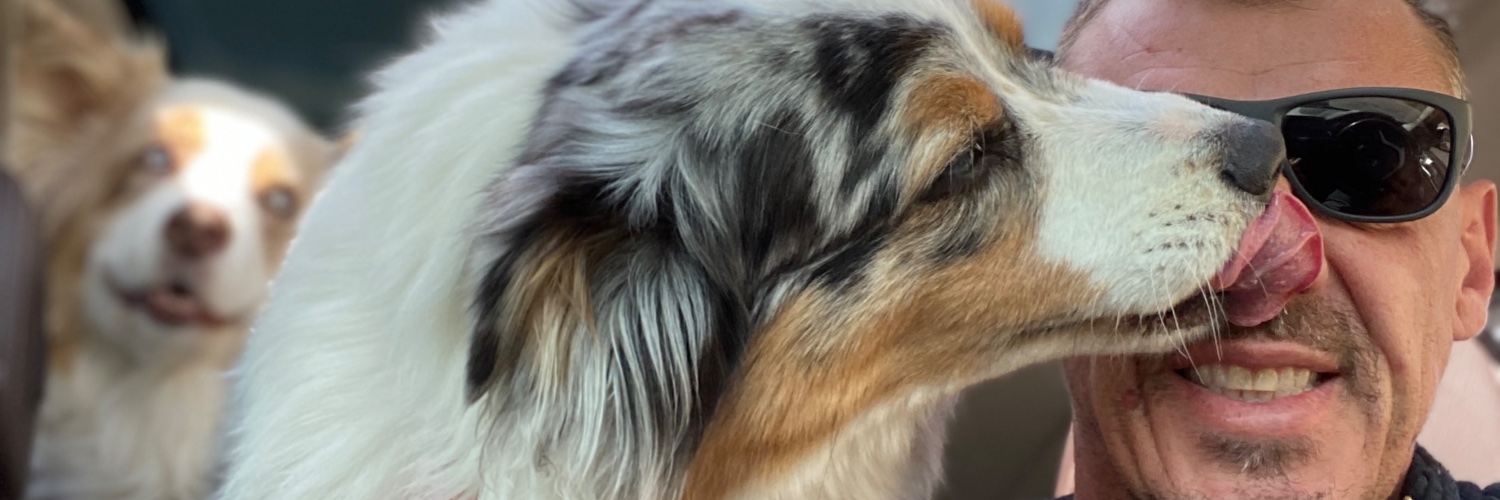 RobinReelis's profile banner image