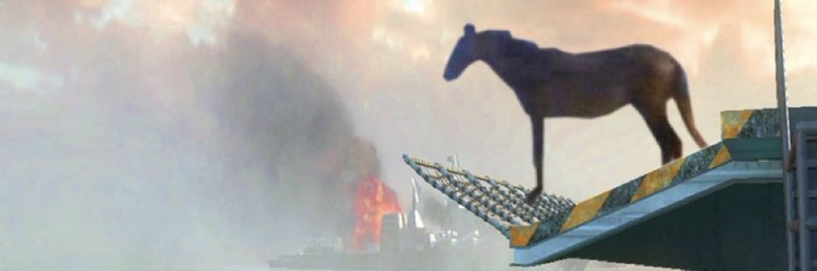 willem banner
