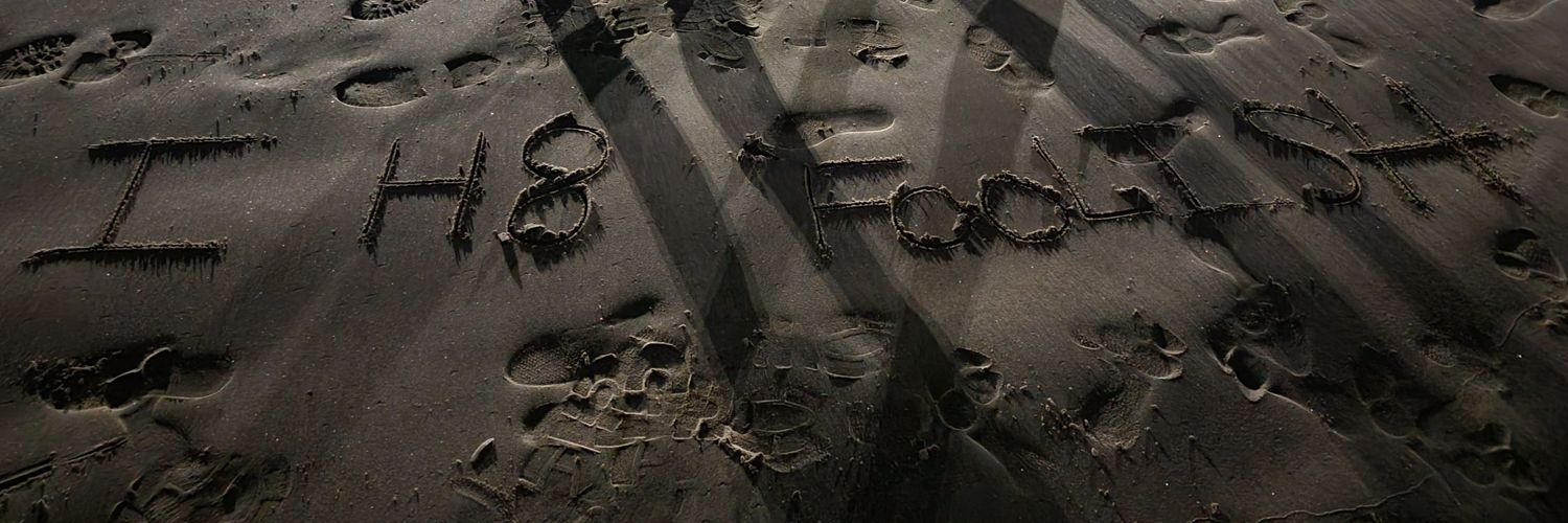 Foolish Gamers's banner