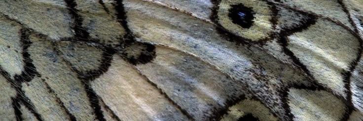 bixiga_'s profile banner image