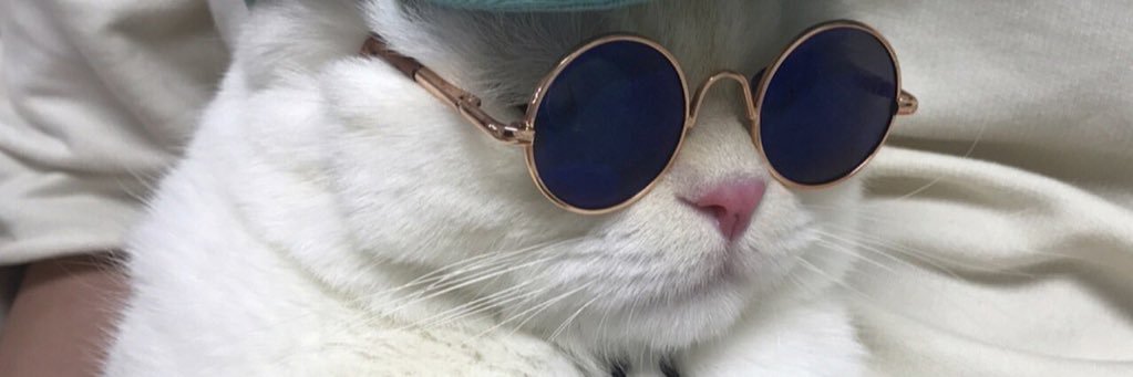 MeeaaW's profile banner image