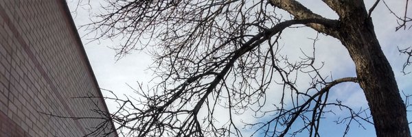 yonderlyt Profile Banner