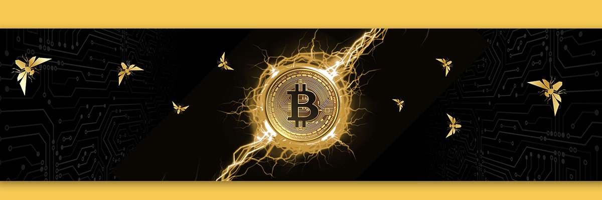 SkimanZF's profile banner image