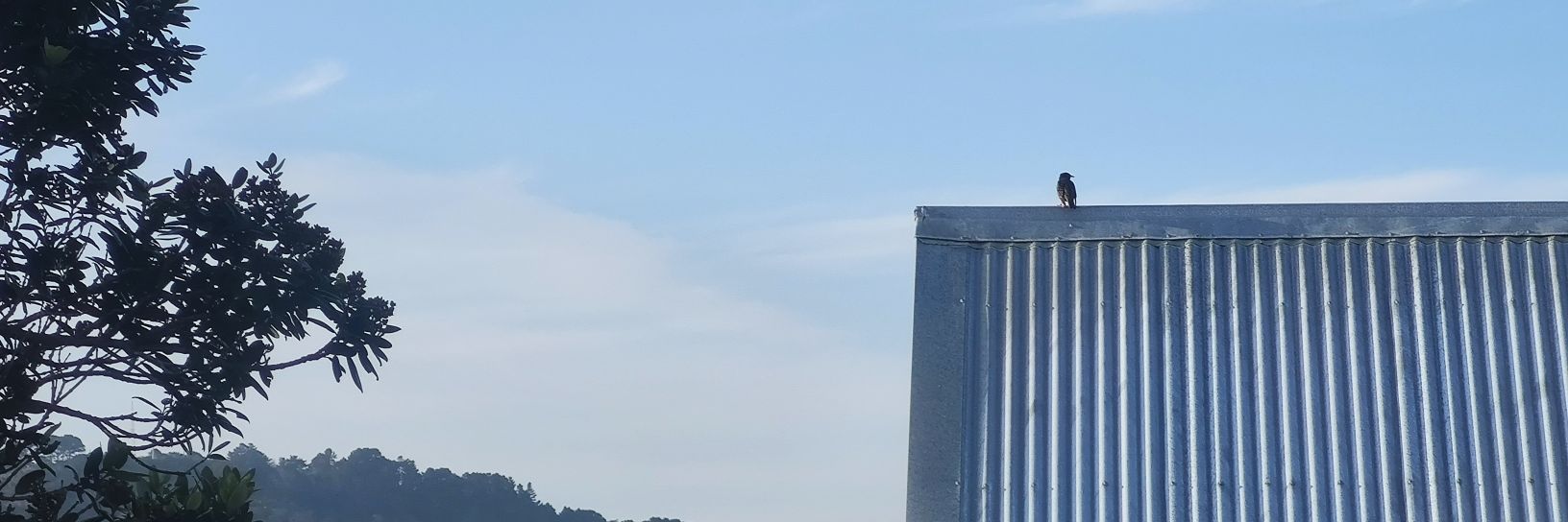roleplayingjame's profile banner image