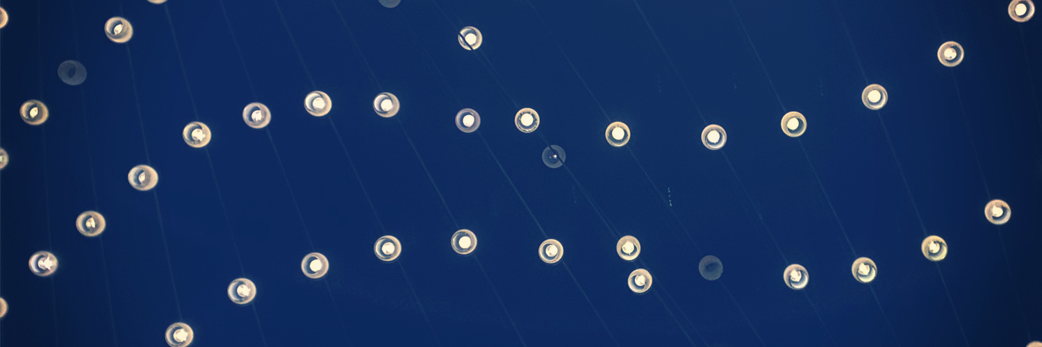 Yasser banner