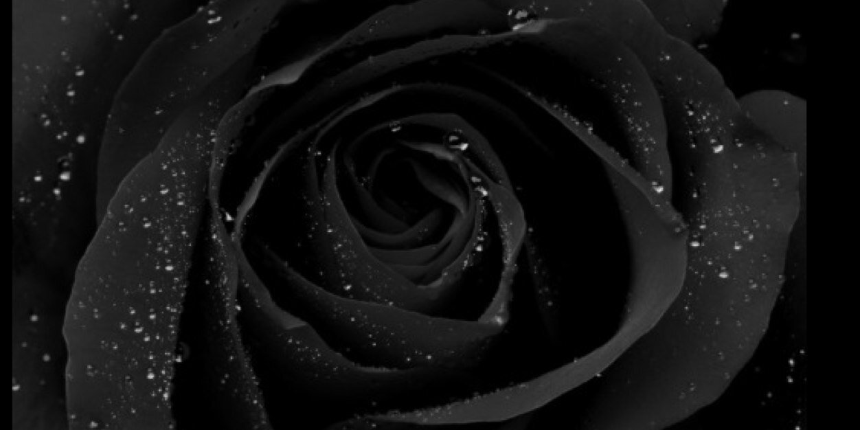 Parriis_x's profile banner image