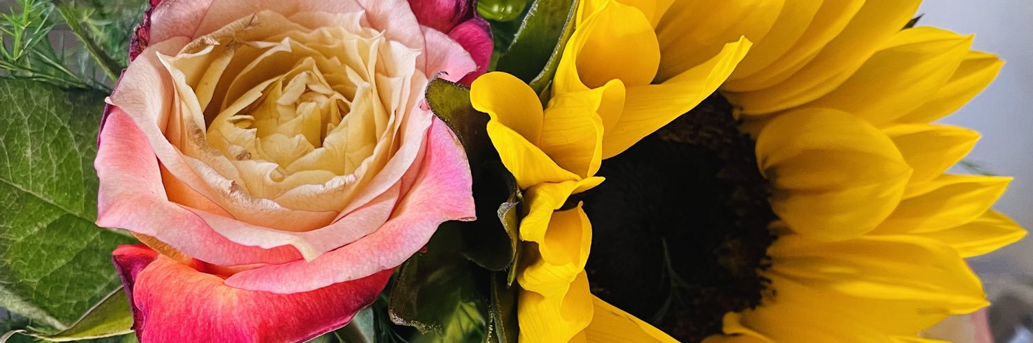 Leighsa_Bee's profile banner image
