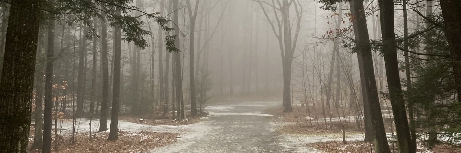 stv_pelletier's profile banner image