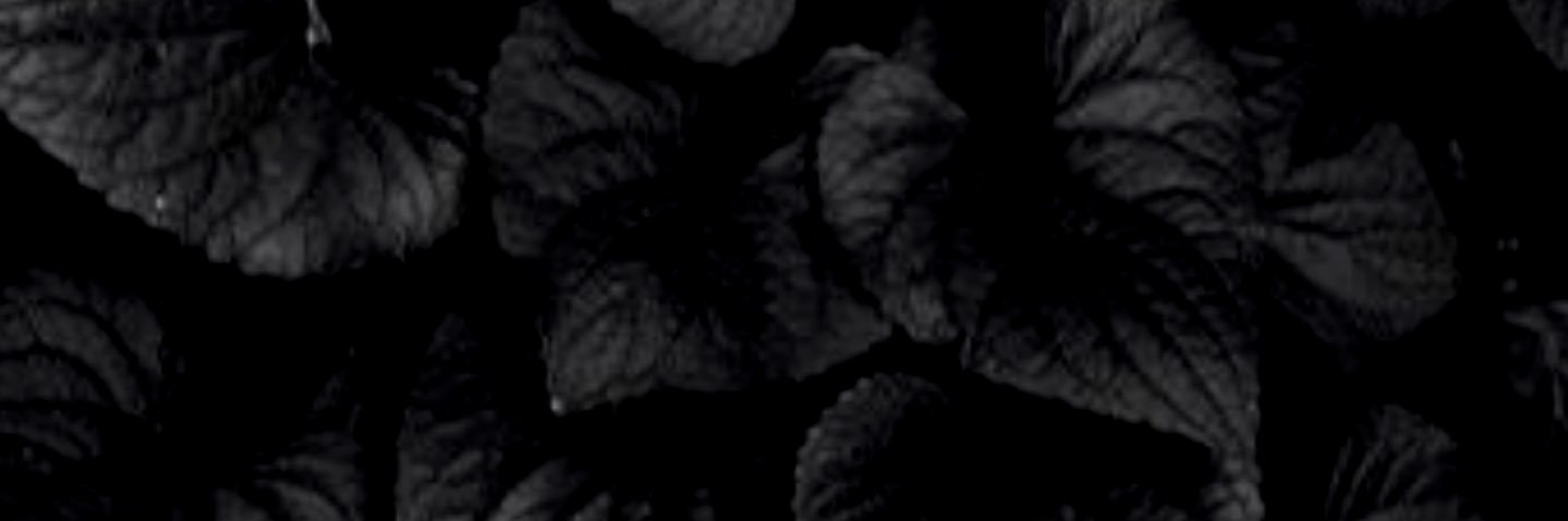 KM Makeup banner