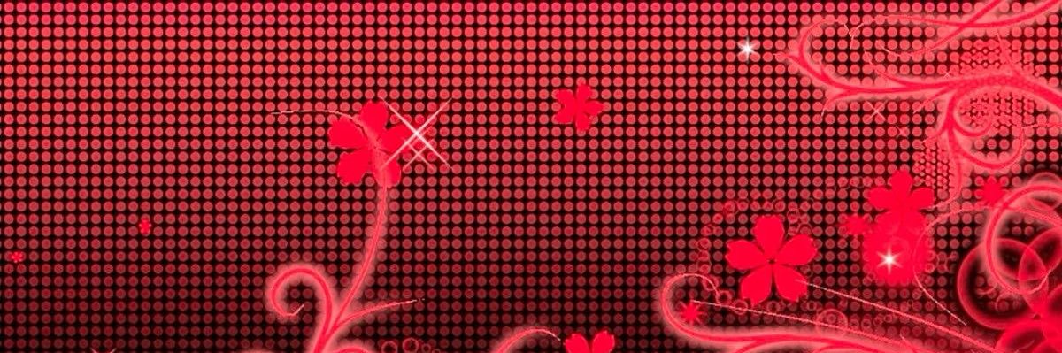 shads 🧸 (COMS CLOSED)'s banner