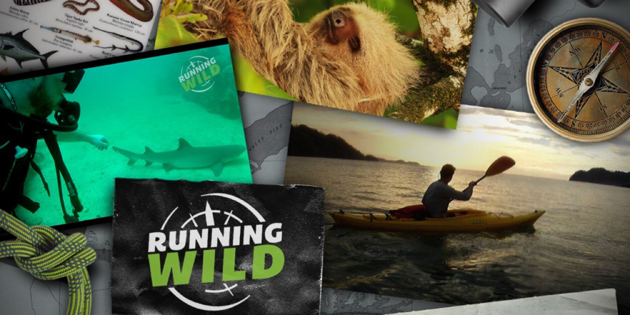 Running Wild Media banner