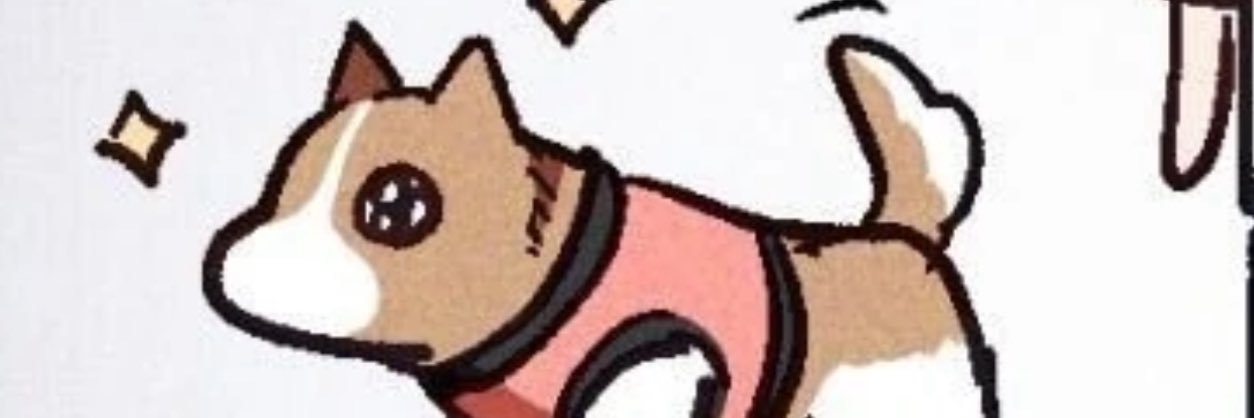CHYA banner