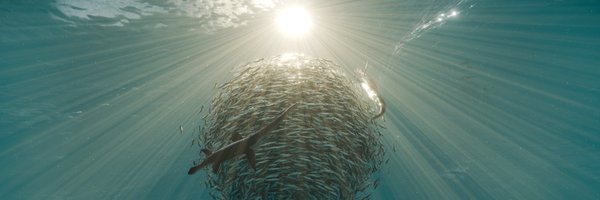 CPursall Profile Banner