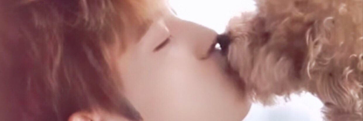 17551225's profile banner image