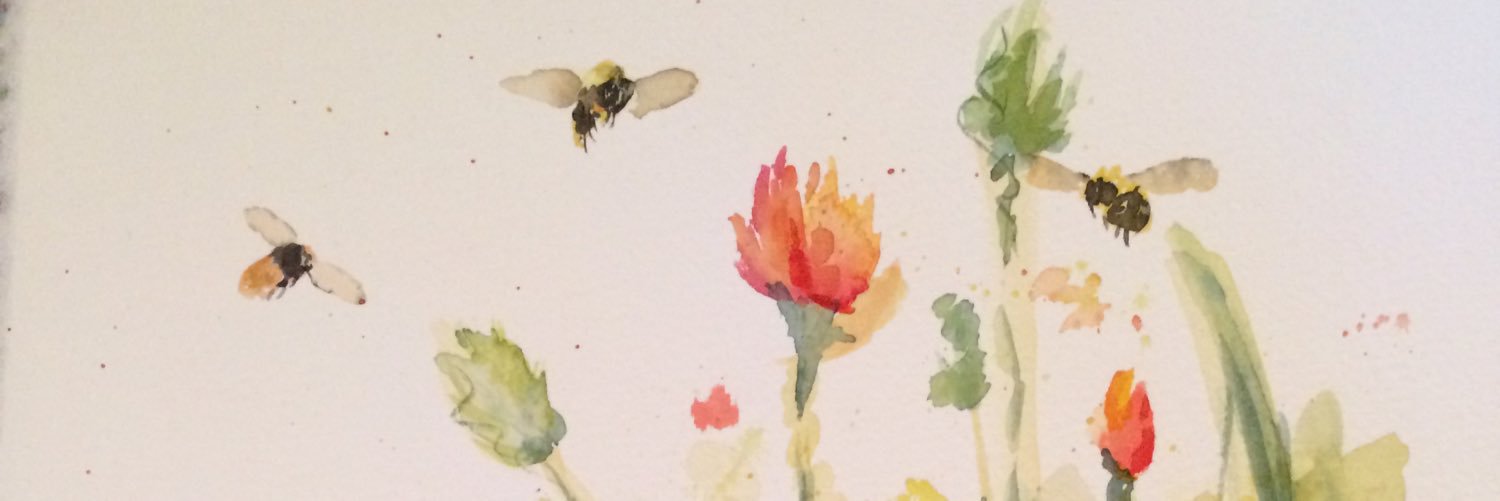lauramboland's profile banner image
