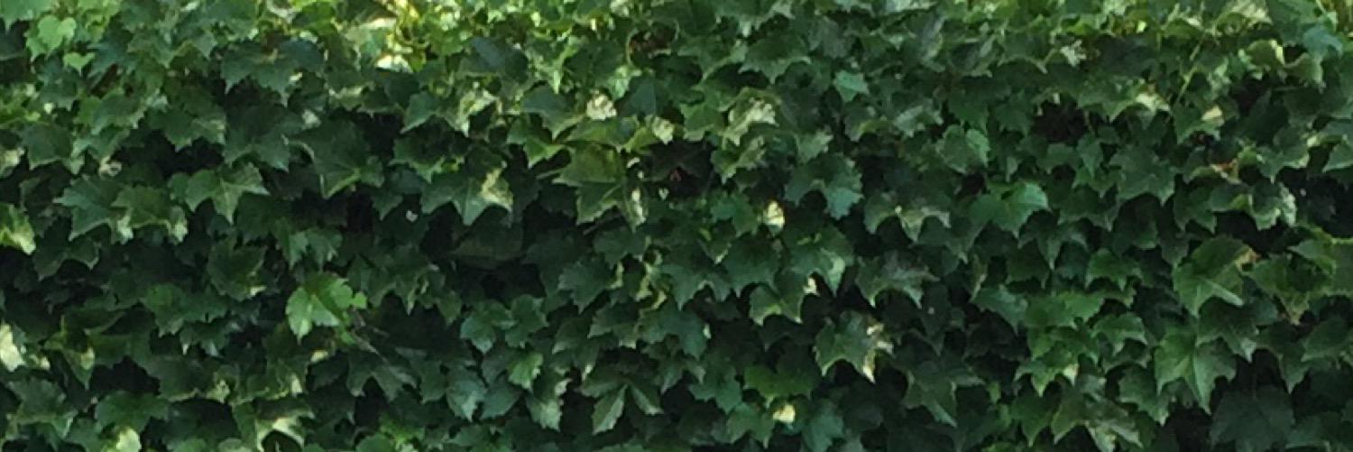 cranek1876's profile banner image