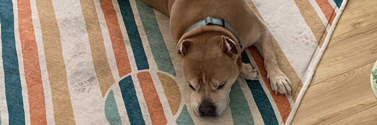 ItsAHallYall's profile banner image