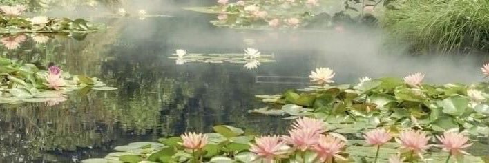tooty ʚїɞ⁺¹'s banner