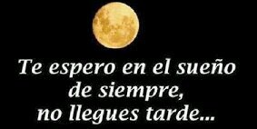 samuel petri baena banner