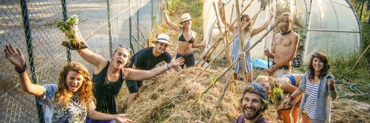 WWOOF banner