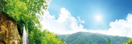 BloomKelly47's profile banner image