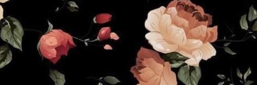 sonsaboor's profile banner image