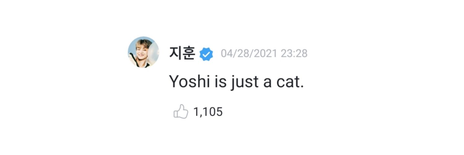 nekoyoshi_'s profile banner image