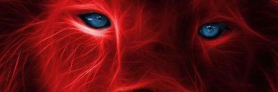 muir's profile banner image