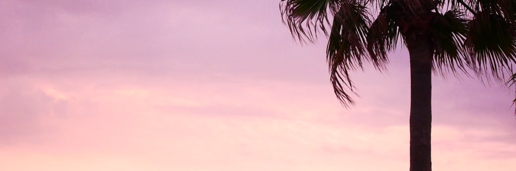 Sena2214's profile banner image