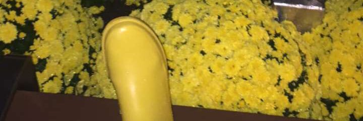 maggieee_m_'s profile banner image