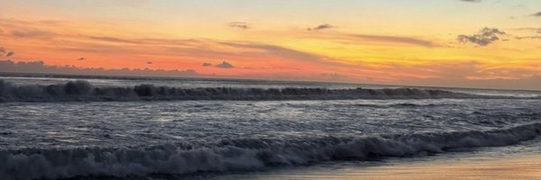 KyleKim84 Profile Banner