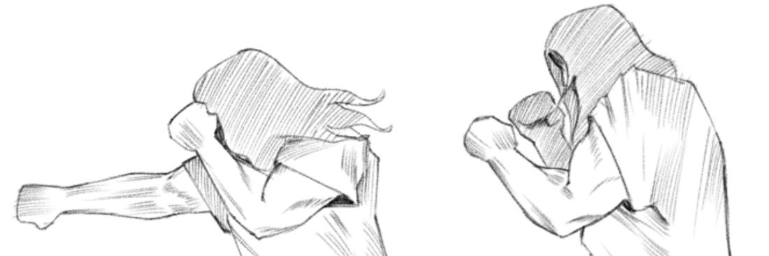 zal banner