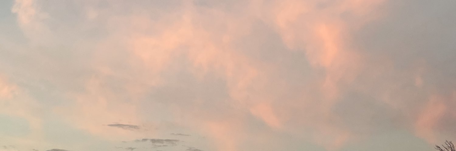 vashticashhh's profile banner image