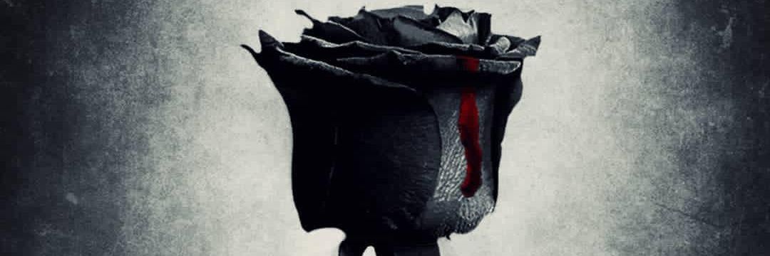 دکتر هَلَه کوتی banner