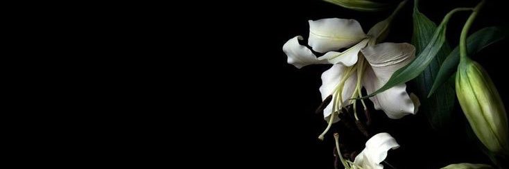 nnett_7's profile banner image