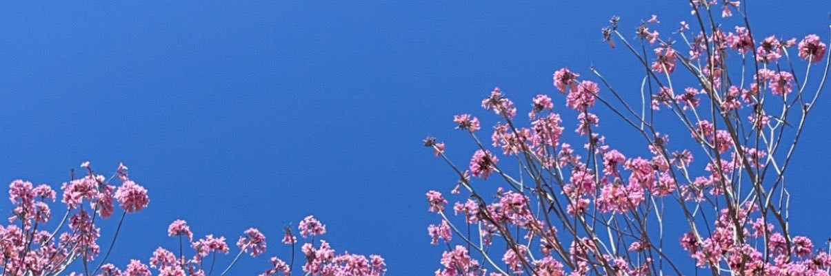 ñ banner