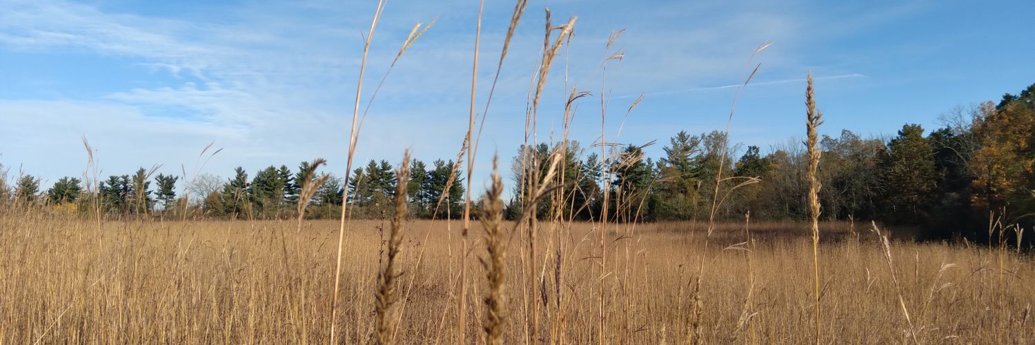 Chert49's profile banner image