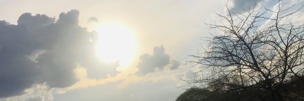 mandlo_rose Profile Banner