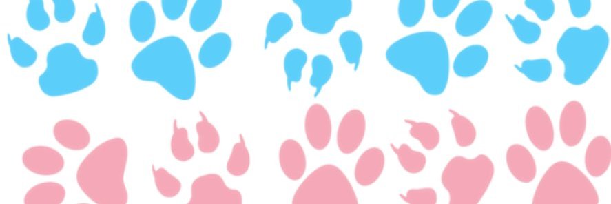 medapup 🔜 Rubbout banner