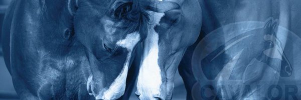Cavalor Profile Banner